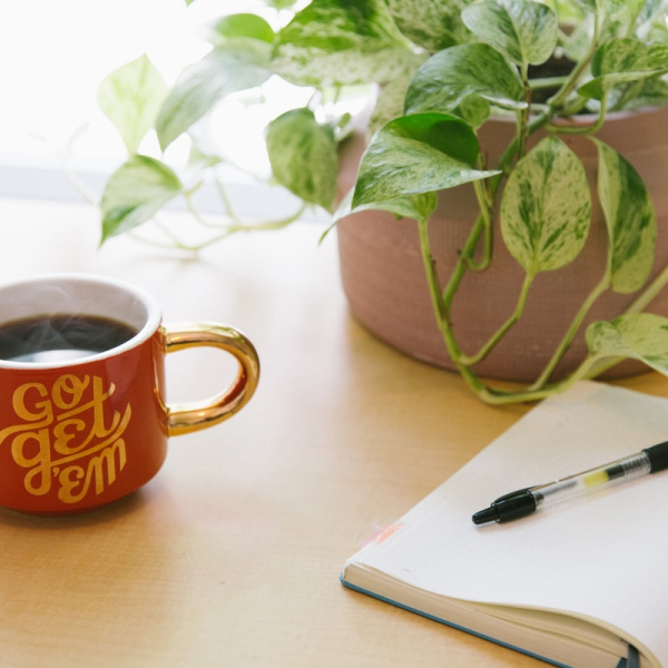 desktop with a plant and journal